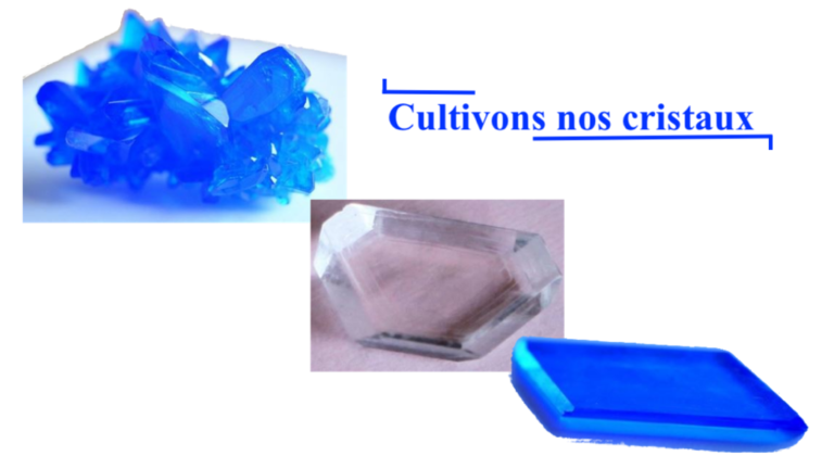 cultivons nos cristaux-carroussel